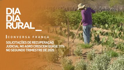 Solicitações de recuperação judicial no agro crescem quase 31% no segundo trimestre de 2025