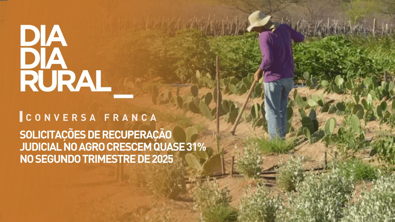 Solicitações de recuperação judicial no agro crescem quase 31% no segundo trimestre de 2025