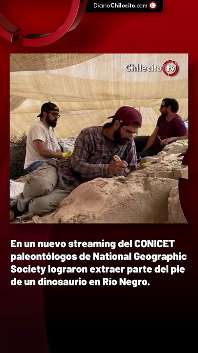 En un nuevo streaming del CONICET paleontólogos de National Geographic Society lograron extraer parte del pie de un dinosaurio en Río Negro.