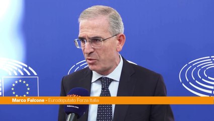 Gaza, Falcone "Il Governo lavora al piano di pace di Trump"