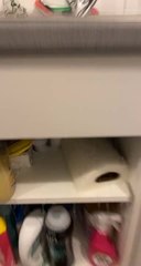 Home Gets Flooded After Pipe Under Sink Bursts