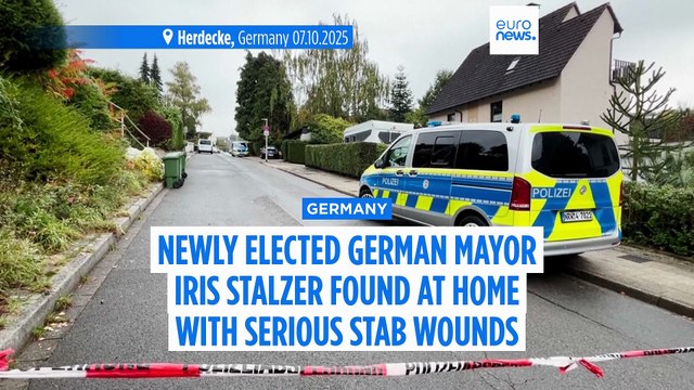 Newly elected German mayor Iris Stalzer found at home with serious stab wounds