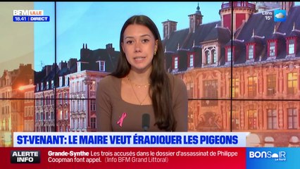 Bonsoir Lille du mardi 7 octobre 2025