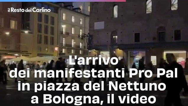 L'arrivo dei manifestanti Pro Pal in piazza del Nettuno a Bologna, il video