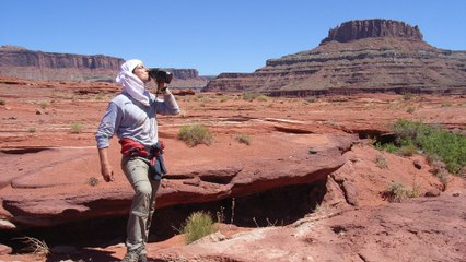 Man vs Wild : seul face à la nature