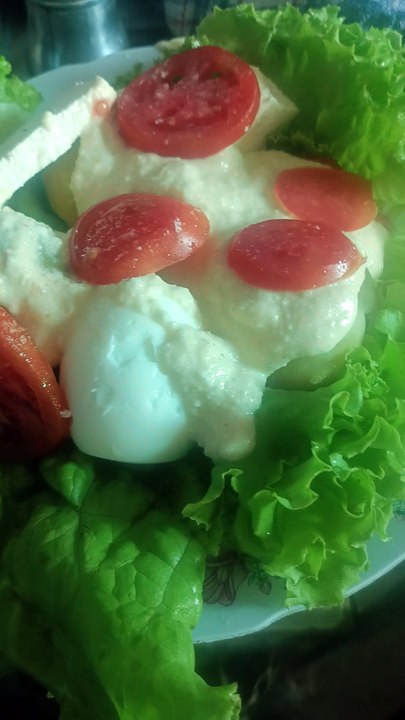 😂 The Funniest Thing You’ll See Today!