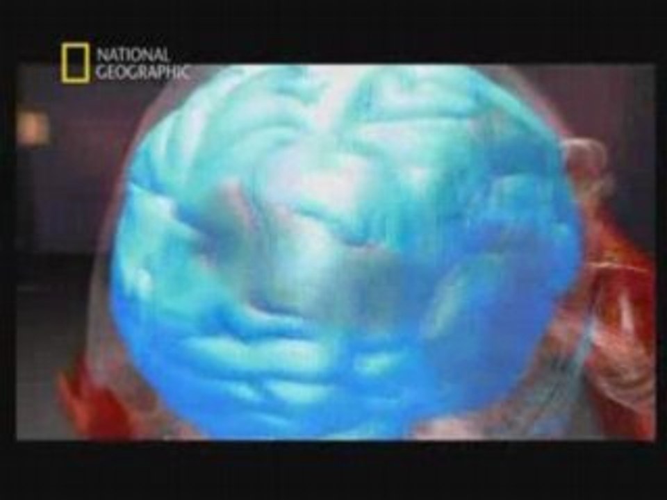 La Science du combat  1/5