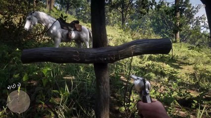 19. 42 Secrets Found After 1000+ Hours in Red Dead Redemption 2