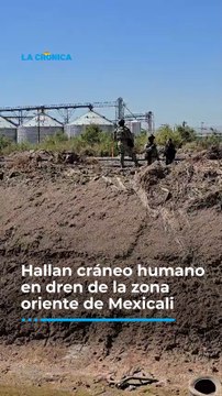 Hallan cráneo humano en dren de la zona oriente de Mexicali