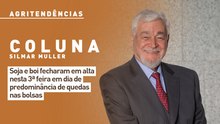Soja e boi fecharam em alta nesta 3ª feira em dia de predominância de quedas nas bolsas
