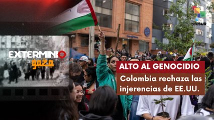 Activistas se movilizaron por la liberación del pueblo palestino