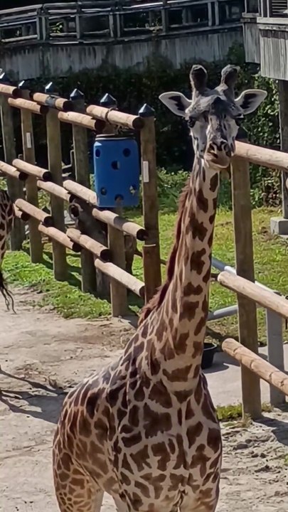 A Day At The Virginia Zoo