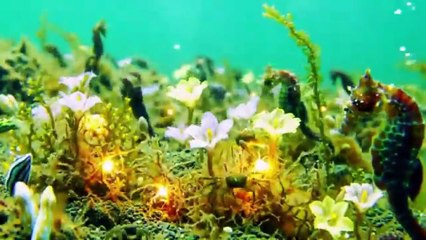 SCRET OF LIFE BENEATH THE WAVE