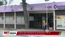 Casos de dengue se redujeron 88 % en comparación con el año pasado