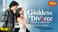 The Goddess Of Divorce Blessed Me With A Ceo