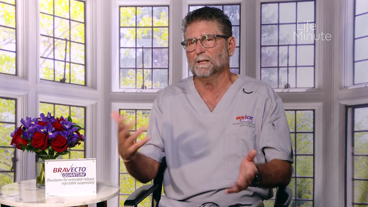 Protect Your Pet from Fleas and Ticks All Year Long