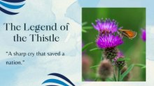 the thistle and the unicorn