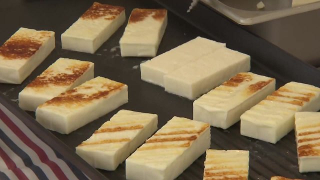천만송이 국화 속 치즈 향연...'임실N치즈축제' 개막 / YTN