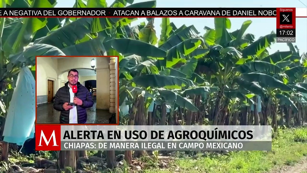 Alertan en Chiapas sobre riesgos por uso de agroquímicos ilegales en el campo mexicano