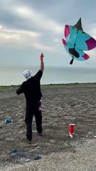 Basant Bahara In 2026 Basant Festival Inshallah