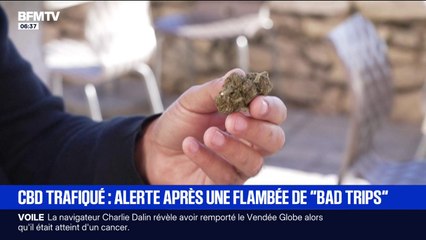 "Je me sens décoller d'une manière phénoménale": alerte après une flambée de "bad trips" liée à du CBD trafiqué