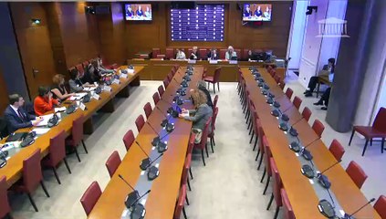 Délégation aux droits des femmes : « Violences en ligne, quelle action internationale ? » - Mardi 7 octobre 2025