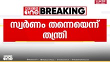 'ശബരിമലയിൽ ഉണ്ടായിരുന്നത് സ്വർണപ്പാളികൾ തന്നെ'; സ്ഥിരീകരിച്ച് മുൻ തന്ത്രി രാജീവര് കണ്ഠരര്