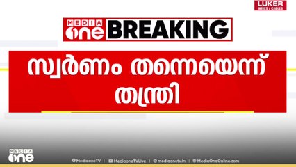 'ശബരിമലയിൽ ഉണ്ടായിരുന്നത് സ്വർണപ്പാളികൾ തന്നെ'; സ്ഥിരീകരിച്ച് മുൻ തന്ത്രി രാജീവര് കണ്ഠരര്