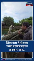 Prashant Damle | शिकायला गेलो एक! चक्क पक्ष्याने म्हटलं नाटकाचं नाव... | Satyaprabha News |