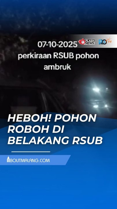 POHON TUMBANG DI BELAKANG RSUB MALANG TIMPA DUA MOBIL