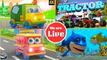 Wheels On The Tractor + Baby Shark LIVE | Fun Nursery Rhymes & Kids Songs 4K | Kids Channel - Cartoon Videos for Kids Live Stream