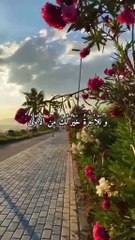 یقینا دلوں_کا_سکون صرف تلاوتِ قرآن میں❣️