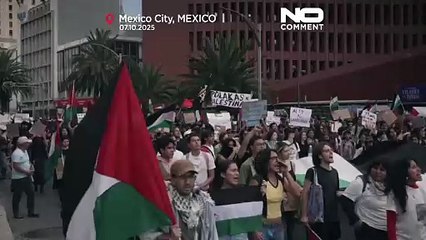 Des centaines de personnes manifestent à Mexico pour demander la fin de la guerre à Gaza