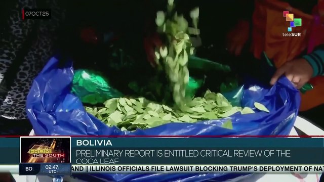 Bolivia | The country moves forward in legalizing the coca leaf