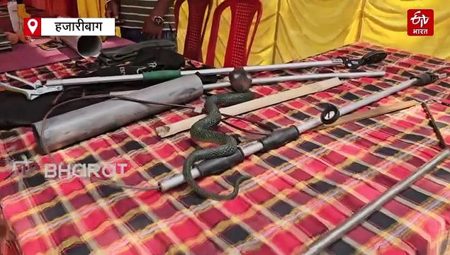 आखिर क्यों हाथी का बढ़ा आतंक, गिद्ध की संख्या हुई कम, प्रवासी पक्षी क्यों नहीं पहुंच रहे हैं हजारीबाग, जानिए वजह