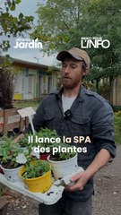 🌱LA SPA, MAIS POUR LES PLANTES, ÇA EXISTE ?!