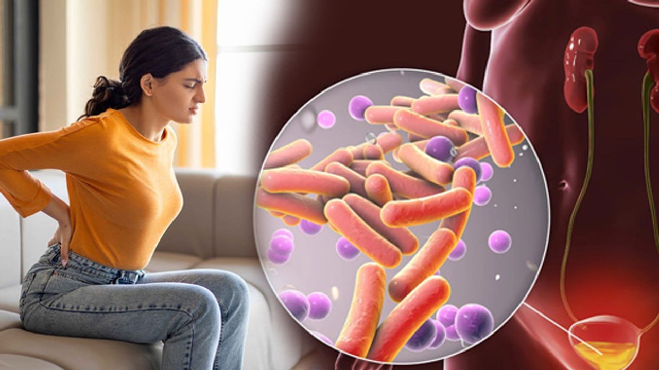 Back Pain in UTI: क्या पीठ दर्द यूटीआई का लक्षण है, Symptoms, Causes & Treatment | Boldsky