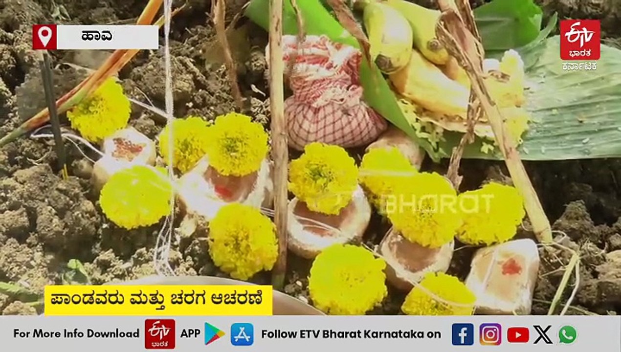 ಹಾವೇರಿ ಜಿಲ್ಲೆಯ ವಿವಿಧಡೆ ಶೀಗೆಹುಣ್ಣಿಮೆ ಆಚರಣೆ: ಫಲಹೊತ್ತ ಭೂತಾಯಿಗೆ ಸೀಮಂತ, ಭಕ್ಷ್ಯ ಭೋಜನ