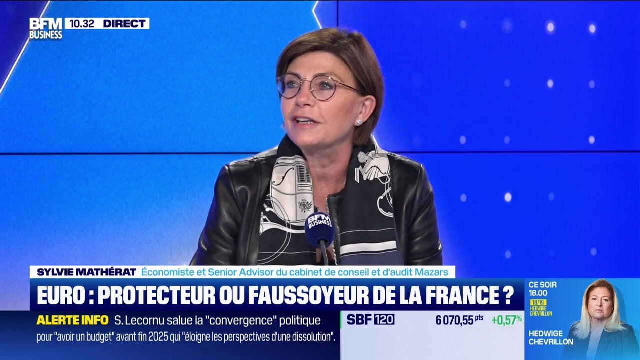 Les Experts : Euro, protecteur ou faussoyeur de la France ? - 08/10