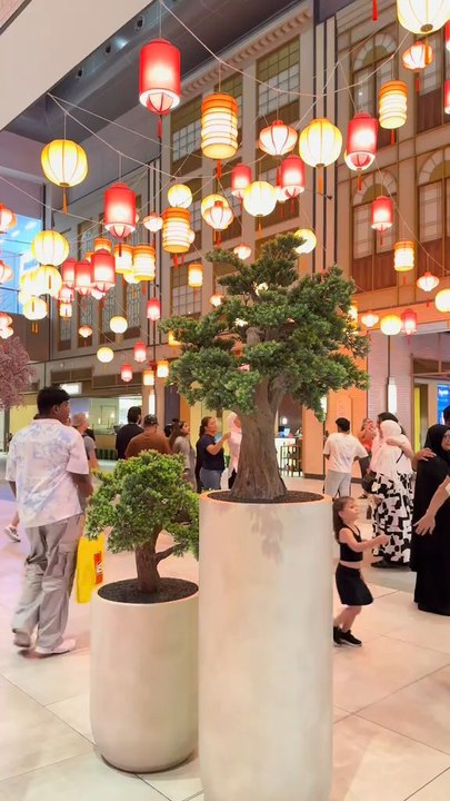 beautiful view of Dubai mall Chinatown