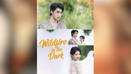 Wildfire in the Dark Full Movies