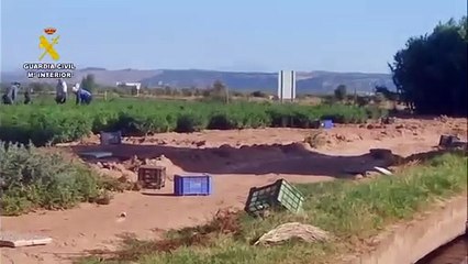 7 detenidos por explotación laboral a 45 personas en el campo