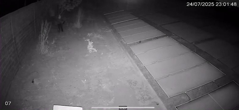 Autores são identificados por furto em usina fotovoltaica