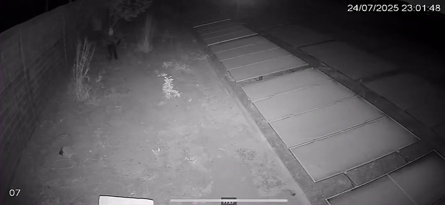 Autores são identificados por furto em usina fotovoltaica