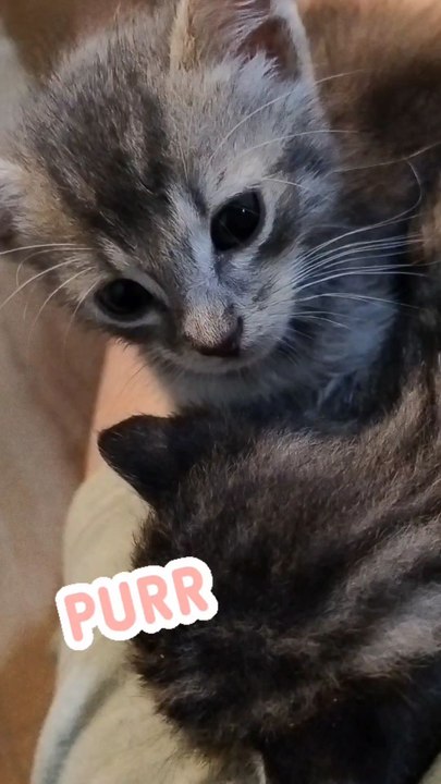 fusa post poppata