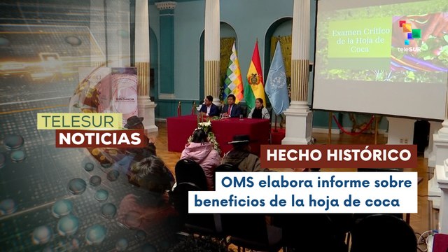 Bolivia celebra respaldo preliminar de la OMS al uso lícito de la hoja de coca