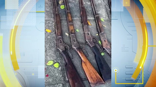 Idoso é Preso com Mais de 200 Animais Silvestres e Armas em Casa: Entenda Como Denunciar Maus Tratos e Comércio Ilegal de Animais