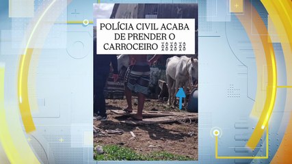 Título: "Investigação de Maus-Tratos a Animais: Caso de Égua Sobrecarregada no Bairro da Vásia Levada à DEPOMA