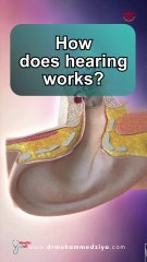 How do we hear?
