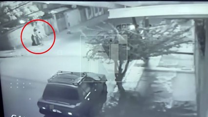 “¡No se mueve!”: Shasha, la perrita que fue pisada por un hombre ebrio en Quillacollo (Video)